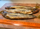 Корюшка х/к (крупная)